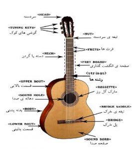 اجزای مختلف گیتار